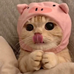 q Ieonardo's Avatar'