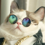 Wheoddl2's Avatar'