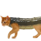 MrPickleCat's Avatar'