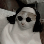 GUGUINHA__'s Avatar'