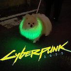 JormMarNB0's Avatar'