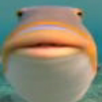 pFHowrKs's Avatar'