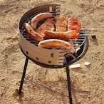 HatsuneShrimpu's Avatar'