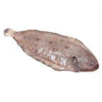 LePoisson619's Avatar'
