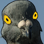 squidnippes's Avatar'