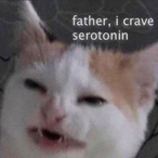 SenorFishsticks's Avatar'