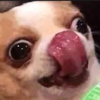 dllm0n99's Avatar'