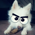 r7llrs's Avatar'