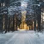 NeoNezSkaChan's Avatar'