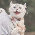 O9OOOOOOOO9's Avatar'
