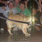 TheIncrease's Avatar'