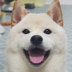 sakurja's Avatar'