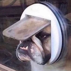 Flex_Msslt's Avatar'