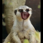 TempoIIXVI's Avatar'