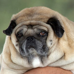 Sloppy_Jalopy's Avatar