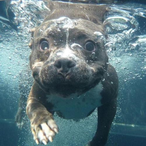 aqustn's Avatar'