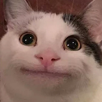 Chicken_J0ckey's Avatar'