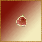 riskthatbiscuit's Avatar'