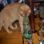 llXIMCITYII's Avatar'