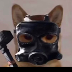 RiggiteyRekt's Avatar'