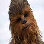 Monkey_D.Buggy's Avatar'
