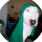 Pozilei06's Avatar'
