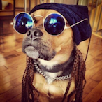 Kim7h3King's Avatar'