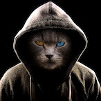 AlexyCat's Avatar'