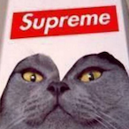 mareszxyz's Avatar'