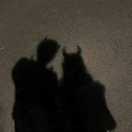 CalIMeAGoodBoy's Avatar'