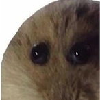 Sub_-_'s Avatar'