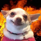 AbiH2417's Avatar'