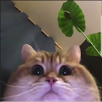 Gruby.GLDM's Avatar'