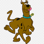 NBNA_Flokiche's Avatar'