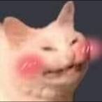 Edwin04's Avatar'