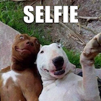 Orix_FrxZen's Avatar'