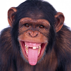 TinpanG.Zoo's Avatar'