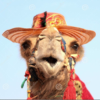 cameloagiota's Avatar'