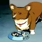 Lethargic.Corgi's Avatar'