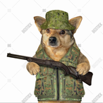 IrradiatedErnie's Avatar'