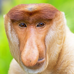 DerrBag_'s Avatar'