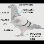 DeadInside.....'s Avatar