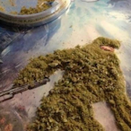 MasterCheeech's Avatar'