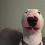 hookandcook's Avatar'