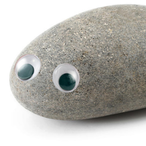 pet__rock's Avatar'