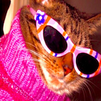 ToxicCzechh's Avatar'