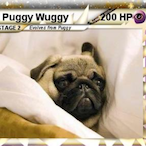 Puggy-Wuggy's Avatar'