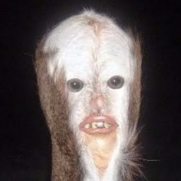 p1l0t1_pierre