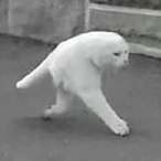 Antiko_Martin's Avatar'