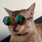 AIexxy's Avatar'